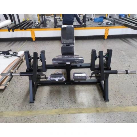 Разгибание ног сидя Insight Fitness TM37A