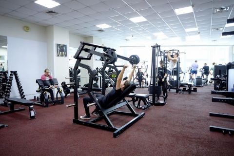 Жим от плеч Insight Fitness TM21