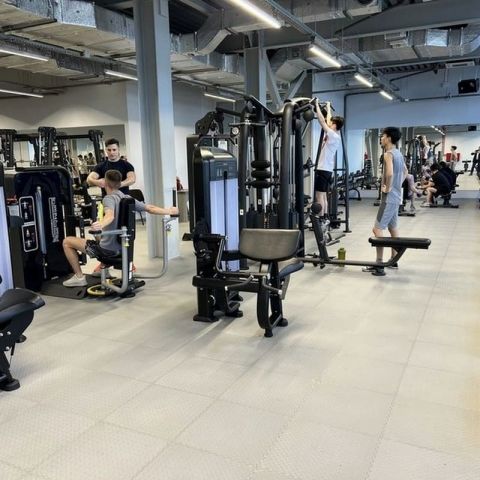 Трицепс-машина Insight Fitness TF06