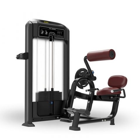Разгибание спины Insight Fitness TF11