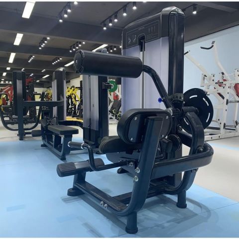 Разгибание спины Insight Fitness TF11