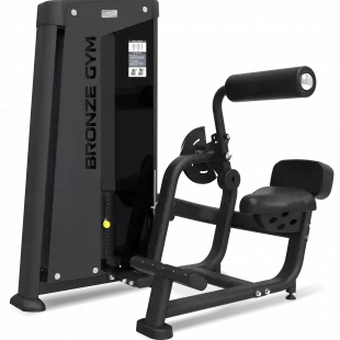 Разгибание спины BRONZE GYM NEO 31
