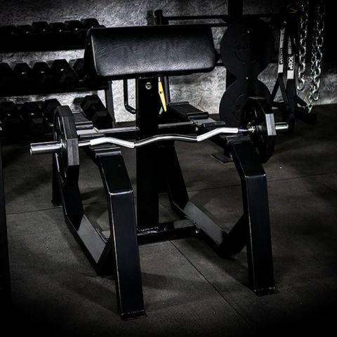 Скамья скотта Gymmaster SSB-21