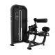 Пресс-машина/разгибание спины Insight Fitness TY31