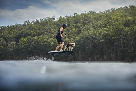 Электрофойл Fliteboard Pro