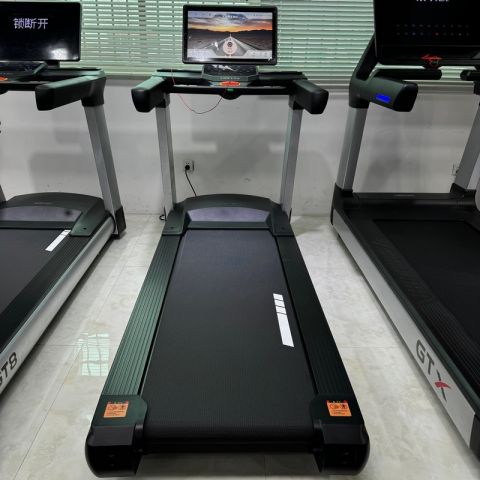 Беговая дорожка Gymmaster GT8A