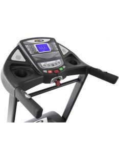 Беговая дорожка Hasttings TR300